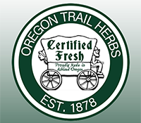 OTH logo