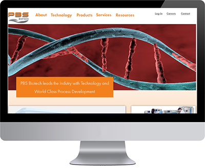 website design